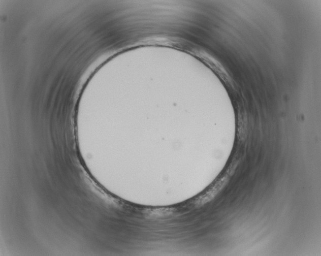 X0000076350808200610272118