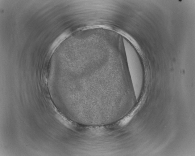 X0000076350809200610272118