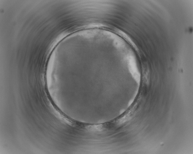 X0000076350810200610272118