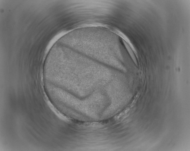 X0000076350811200610272118