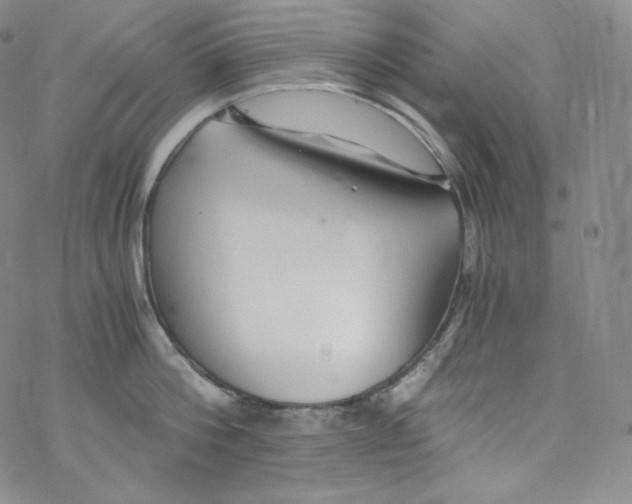 X0000076350812200610272118