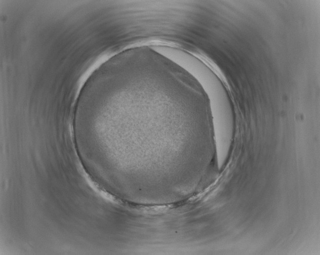 X0000076350813200610272118