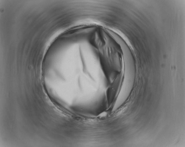 X0000076350815200610272118