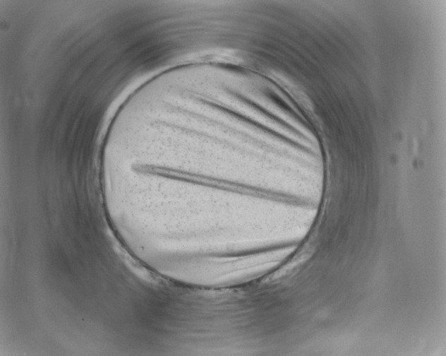 X0000076350816200610272118