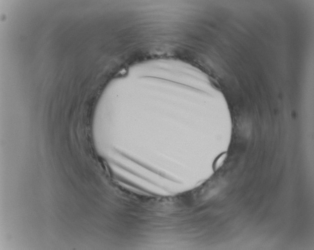 X0000076350817200610272117