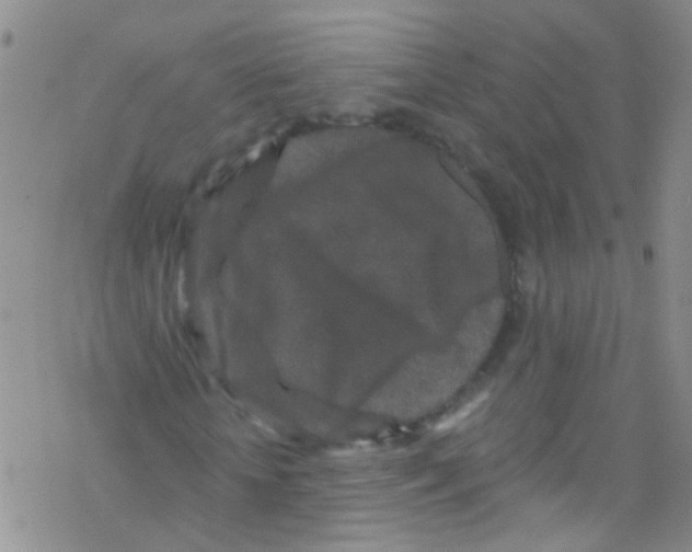 X0000076350818200610272117