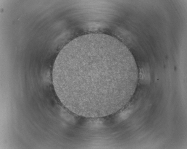 X0000076350820200610272117