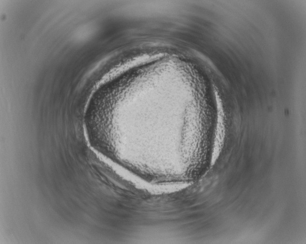 X0000076350823200610272117