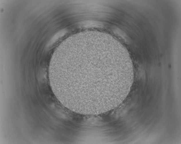 X0000076350824200610272118