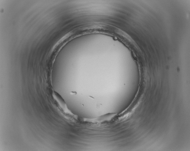 X0000076350826200610272118