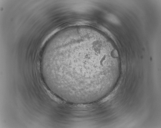 X0000076350827200610272118