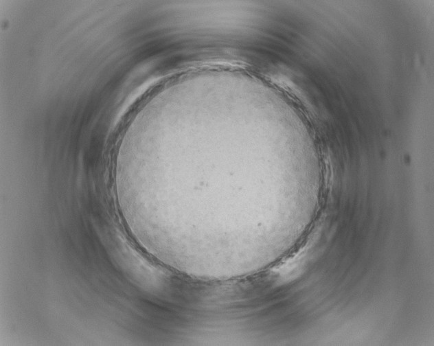 X0000076350828200610272118