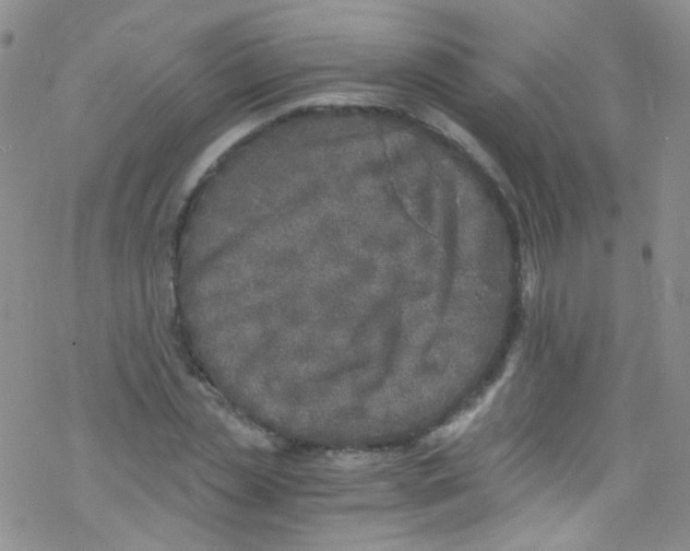 X0000076350829200610272118