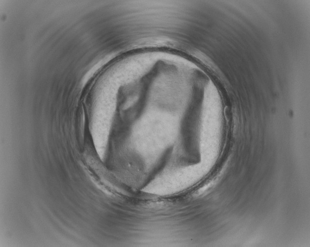 X0000076350834200610272118