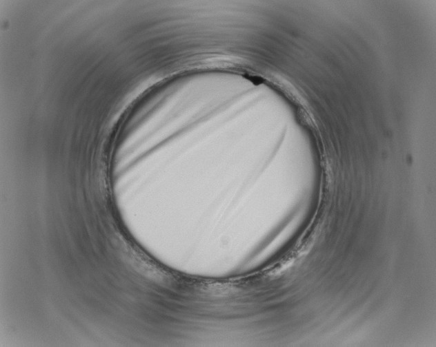 X0000076350835200610272118