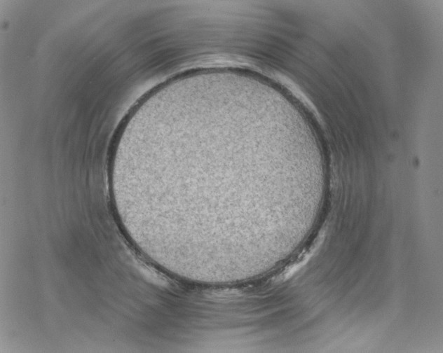 X0000076350837200610272118