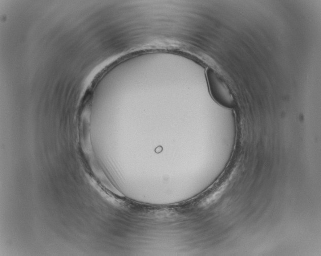 X0000076350838200610272118