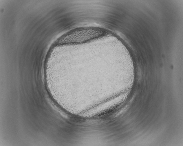 X0000076350840200610272118