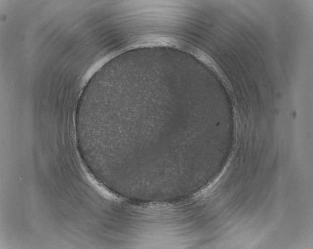 X0000076350842200610272118