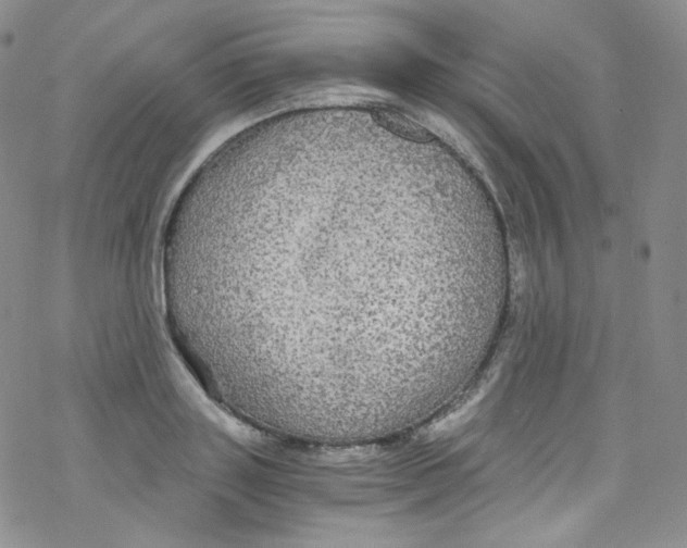 X0000076350843200610272118