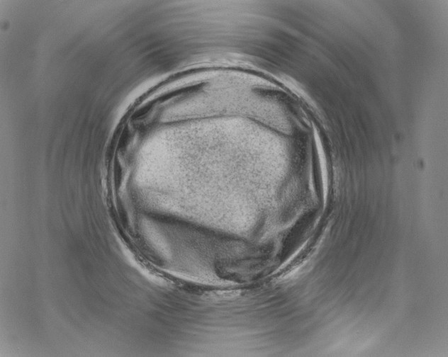 X0000076350846200610272118