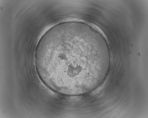 X0000076350847200610272118