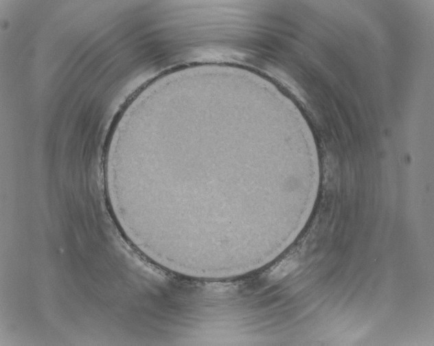 X0000076350848200610272118