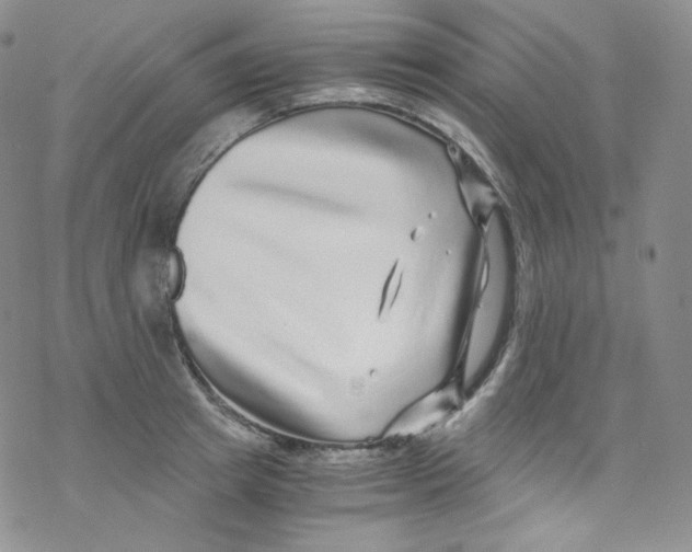 X0000076350849200610272118