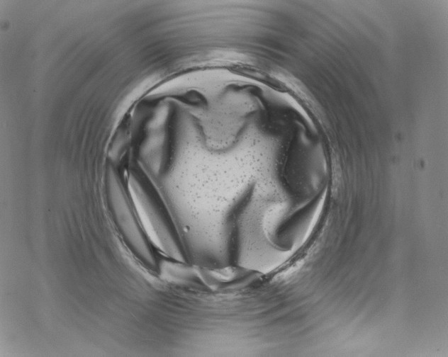 X0000076350850200610272118