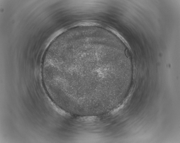 X0000076350853200610272118