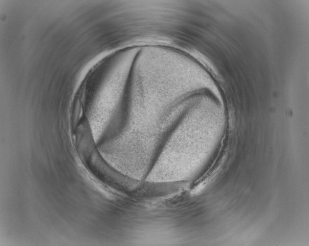 X0000076350854200610272118