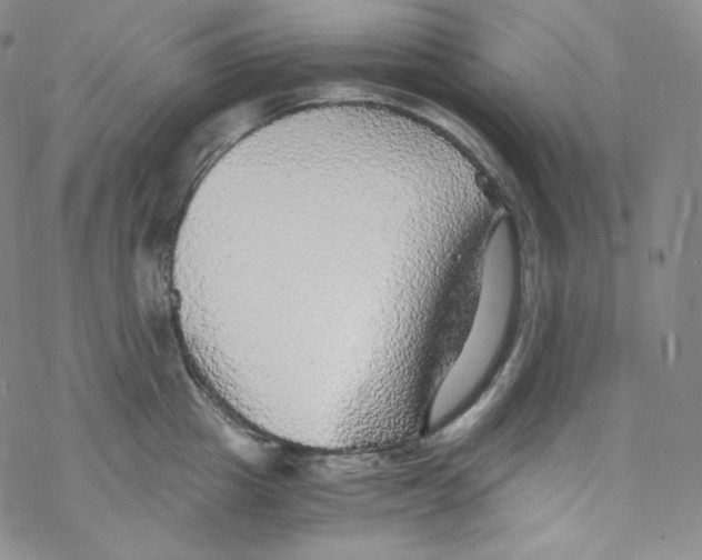 X0000076350857200610272118