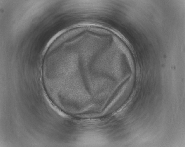 X0000076350862200610272118