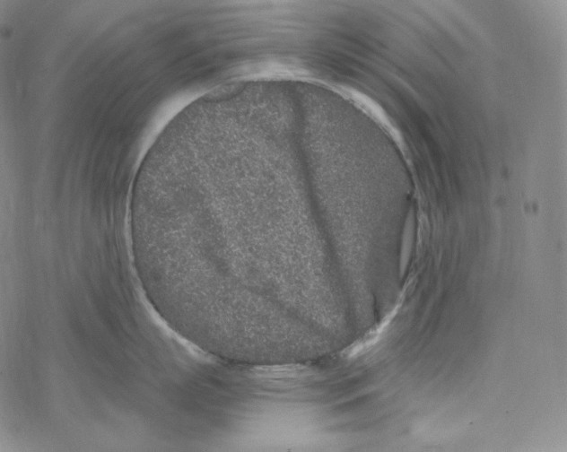 X0000076350863200610272118