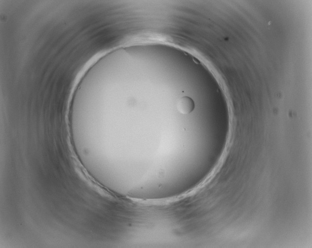 X0000076350864200610272118