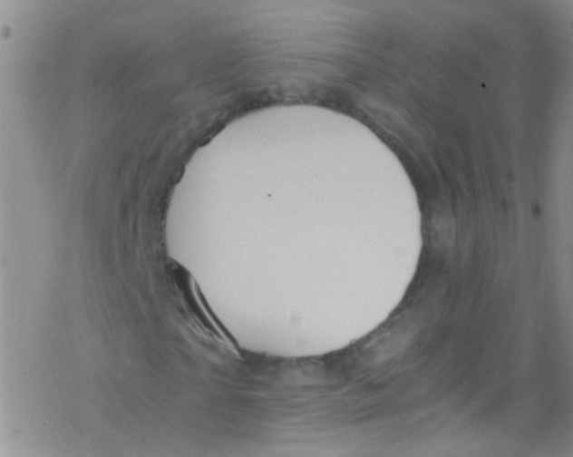 X0000076350865200610272117