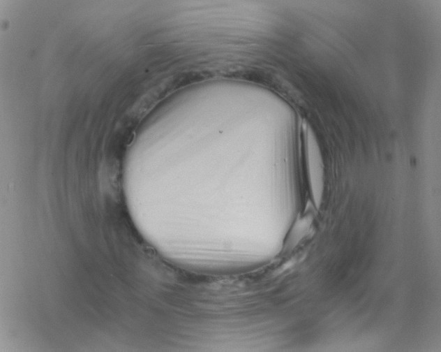 X0000076350867200610272117