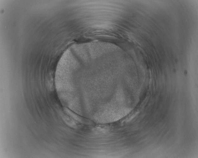 X0000076350868200610272117