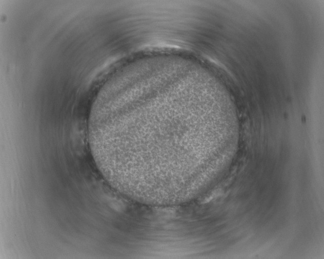 X0000076350870200610272117