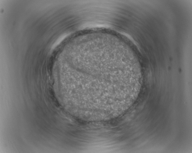 X0000076350871200610272117