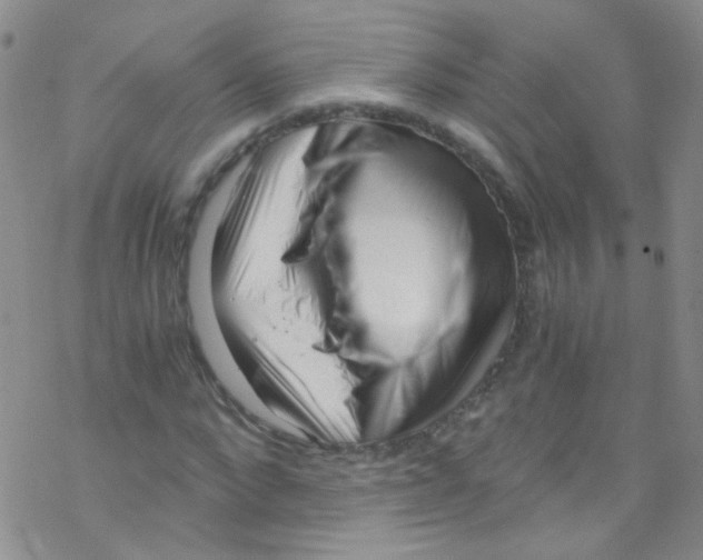 X0000076350872200610272117