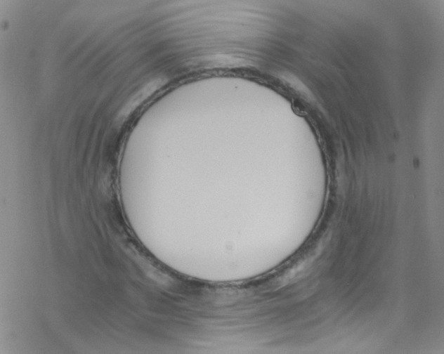 X0000076350873200610272117