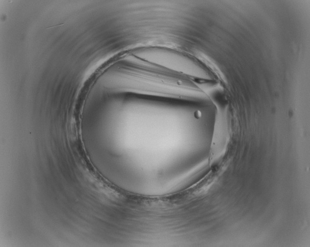 X0000076350876200610272117