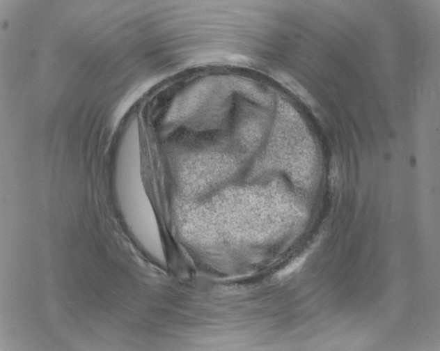 X0000076350877200610272117