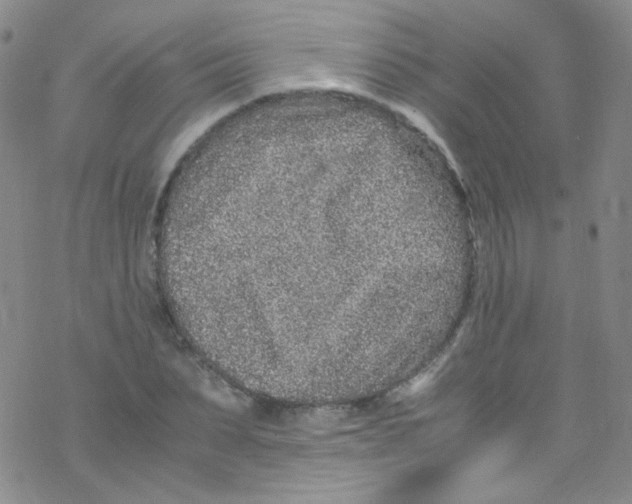 X0000076350879200610272117