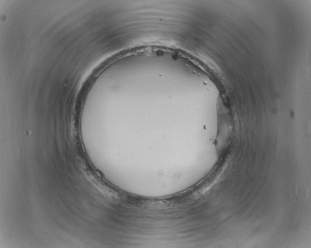 X0000076350880200610272117