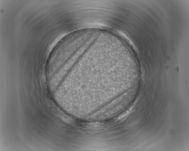 X0000076350883200610272117