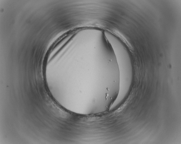 X0000076350884200610272117