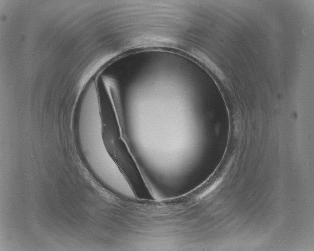 X0000076350885200610272117