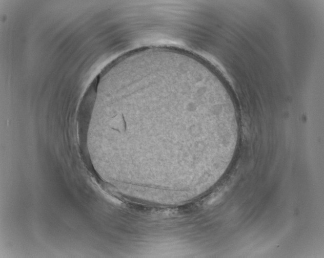 X0000076350887200610272117